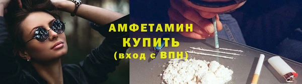 PSILOCYBIN Кодинск