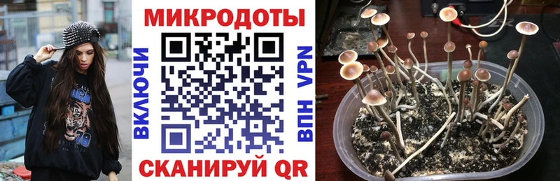 Псилоцибиновые грибы Magic Shrooms  дарнет шоп  Кореновск 