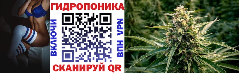 Конопля White Widow  Кореновск 